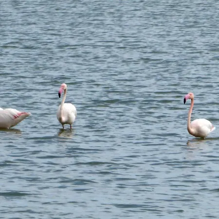 Beach House At Seafront Meneou