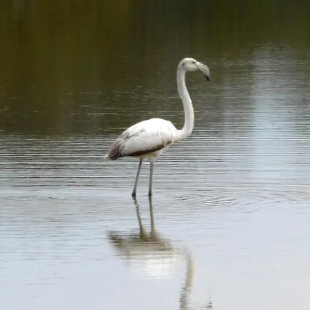 Case de vacanță Beach House At Seafront