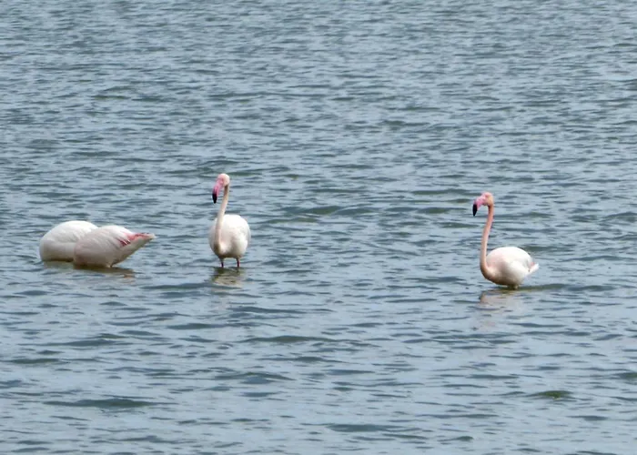 Beach House At Seafront Meneou
