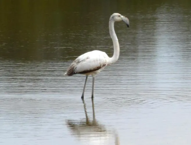 Prázdninový dům Beach House At Seafront